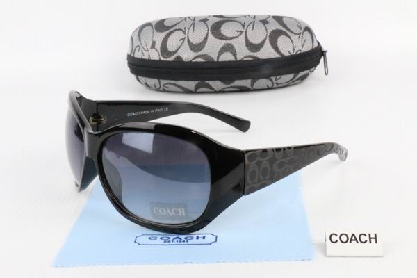 C0ACH Boutique Sunglasses 050